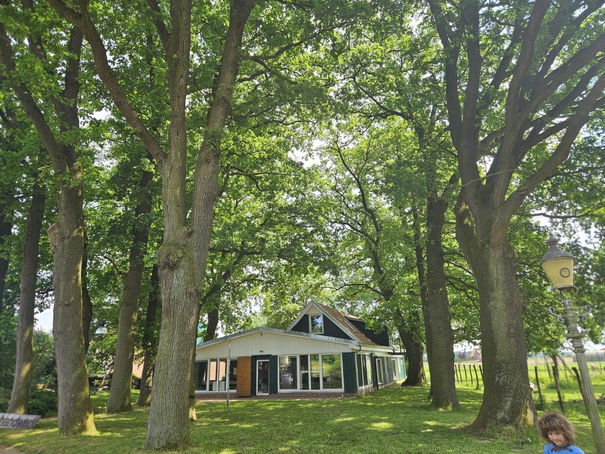Ferienhaus Banana Lodge Bruchhausen-Vilsen Kültér fotó