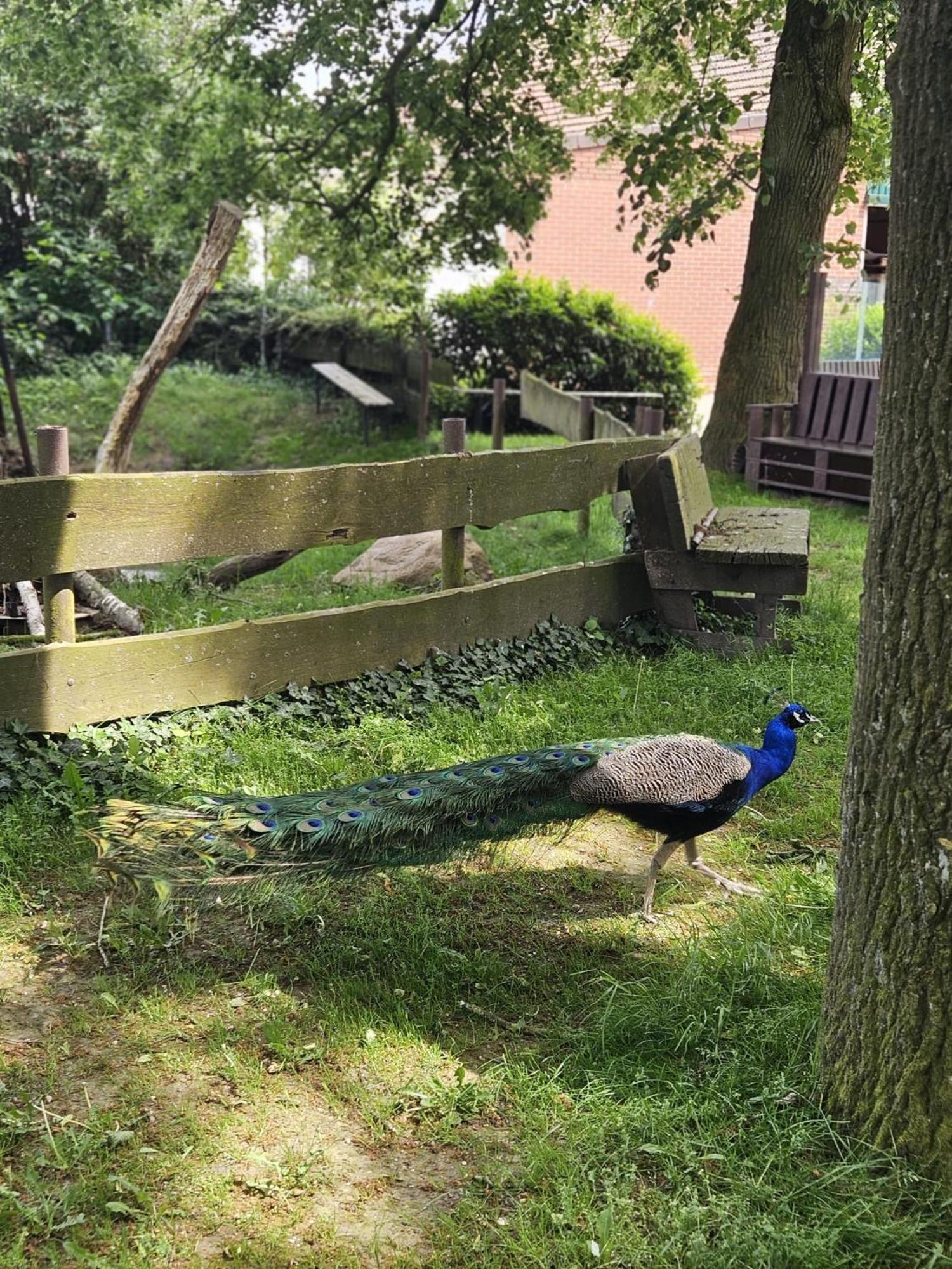 Ferienhaus Banana Lodge Bruchhausen-Vilsen Kültér fotó