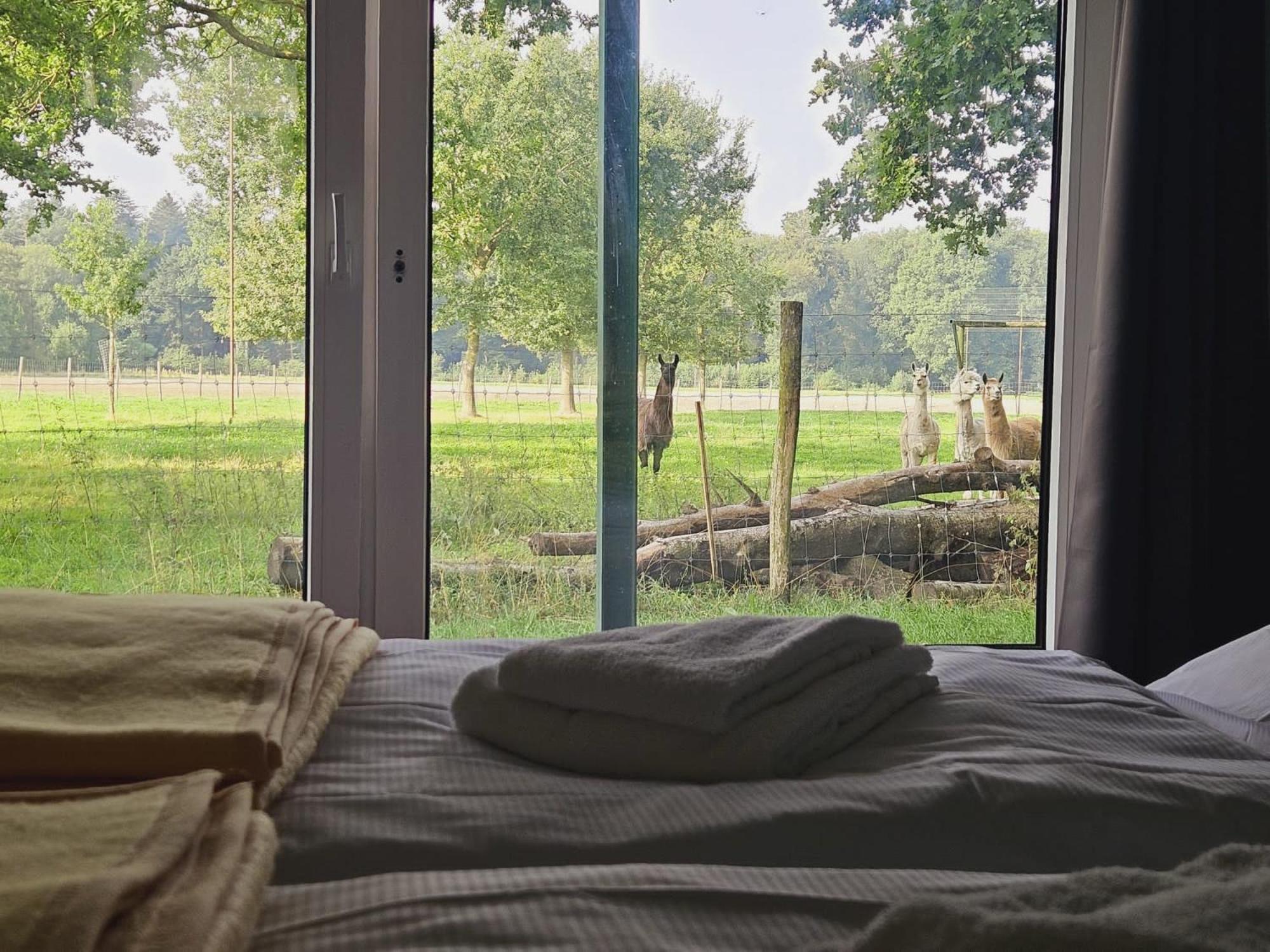 Ferienhaus Banana Lodge Bruchhausen-Vilsen Kültér fotó
